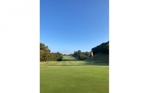 アルファ津田カントリークラブ 土日祝 食事付き プレー券 (1名様)