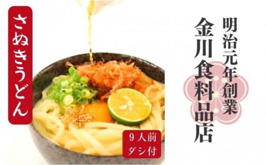 二段熟成半生さぬきうどん 9人前(300g×3袋) めんつゆ付き(鎌田醤油) 【うどん 麺 めん 饂飩 熟成 半生 半生うどん 醤油 めんつゆ めんつゆつき さぬき】