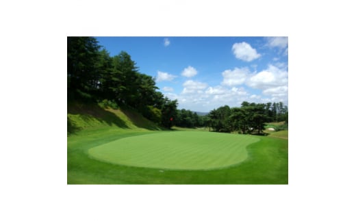 東城陽ゴルフ倶楽部ゴルフプレー 利用券9枚 9000円 京都ゴルフ場チケット券 ゴルフコース プレー【1223540】