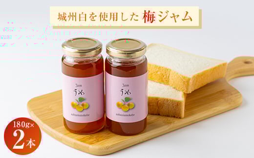 爽やかな朝のスタートに梅のピュアな香りと酸味の効いた<梅ジャム> 180g 2本セット【1274510】