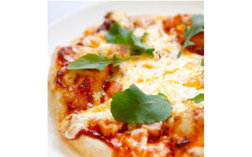 城陽市ピザづくり教室(お二人様)カフェの人気ピザレシピもお教えします【1302023】