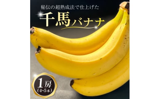 超熟成法仕立て 千馬バナナ 1房 4~5本入り【1567242】