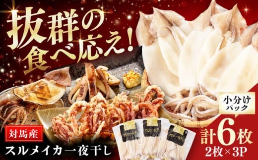 するめ いか 一夜干し セット《対馬市》【対馬地域商社】九州 長崎 海鮮 [WAC006]冷凍 新鮮 簡単調理 肉厚 スルメイカ いか 小分け 天ぷら 炒め物 おつまみ 個包装 贈り物 プレゼント 対馬 つしま するめいか 烏賊 人気