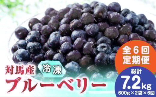【先行予約】【全6回定期便】 大容量 対馬産 ブルーベリー （ 冷凍 ） 1.2kg【 さほの里ファーム 】《 対馬市 》 有機 旬 果物 フルーツ [WBG003]