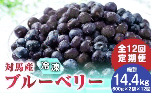 【全12回定期便】 大容量 対馬産 ブルーベリー （ 冷凍 ） 1.2kg【 さほの里ファーム 】《 対馬市 》 有機 旬 果物 フルーツ [WBG004]