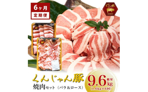 <毎月定期便>くんじゃん豚 焼肉セット(バラ・ロース)計9.6kg全6回【4067077】