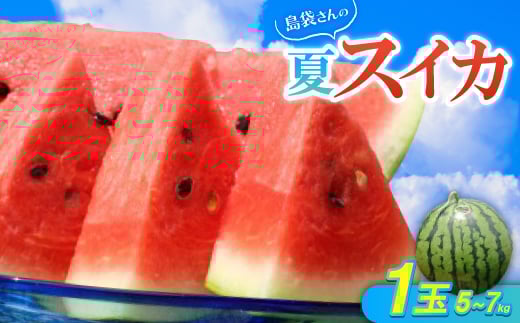 ＜先行受付・2026年8月中旬から順次発送＞島袋さんの夏スイカ大玉 1玉(5.0～7.0kg)【1628646】