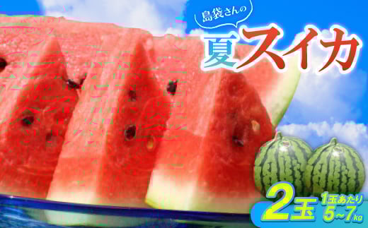 ＜先行受付・2026年8月中旬から順次発送＞島袋さんの夏スイカ大玉 2玉(1玉5.0～7.0kg)【1628650】