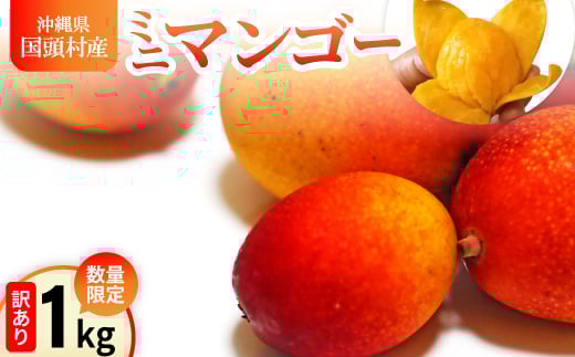 ＜2026年6月から順次発送＞数量限定の訳ありミニマンゴー1kg【1634008】