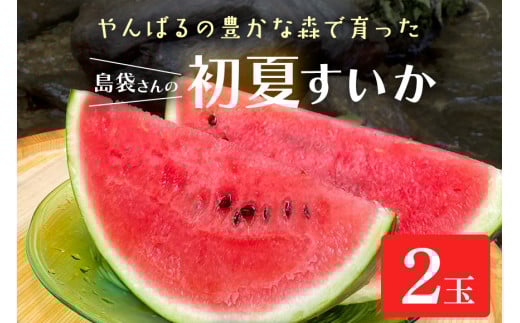 ＜先行受付・2026年6月上旬から順次＞島袋さんの夏スイカ大玉 2玉(1玉あたり5.0～7.0kg)【1577673】