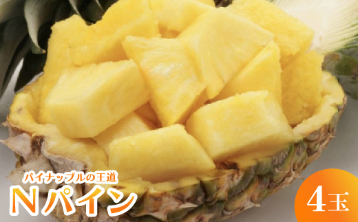 ＜2026年7月から順次発送＞パイナップルの王道 Nパイン4玉【1584608】