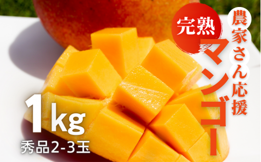 ＜2026年6月から順次発送＞秀品アーウィンマンゴー1kg(2～3玉)【1577567】
