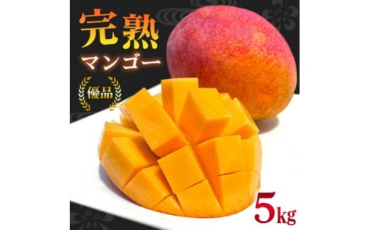 ＜2026年6月から順次発送＞優品アーウィンマンゴー5kg(8～12玉)【1584603】