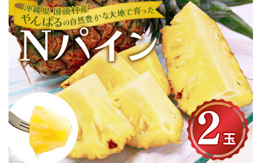 ＜2026年7月から順次発送＞パイナップルの王道 Nパイン2玉【1577568】