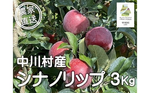 担当者おすすめ「味覚の里なかがわ」の旬のくだもの(シナノリップ3Kg箱)8月10日〜8月16日発送予定