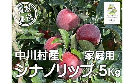 担当者おすすめ「味覚の里なかがわ」の旬のくだもの(シナノリップ自家用5Kg箱)8月10〜16日頃発送