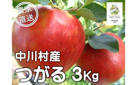 担当者おすすめ「味覚の里なかがわ」の旬のくだもの(つがる3Kg箱)8月20〜31日発送予定