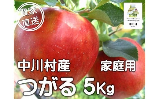 担当者おすすめ「味覚の里なかがわ」の旬のくだもの(つがる自家用5Kg箱)8月20〜31日頃発送