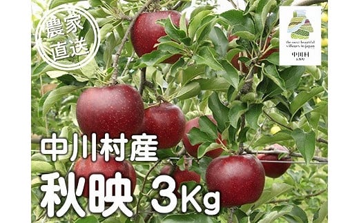 担当者おすすめ「味覚の里なかがわ」の旬のくだもの(秋映3Kg箱)10月1〜15日発送予定