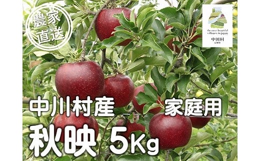 担当者おすすめ「味覚の里なかがわ」の旬のくだもの(秋映自家用5Kg箱)10月1〜15日頃発送