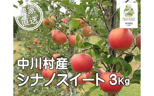 担当者おすすめ「味覚の里なかがわ」の旬のくだもの(シナノスイート3Kg箱)10月20〜31日発送予定