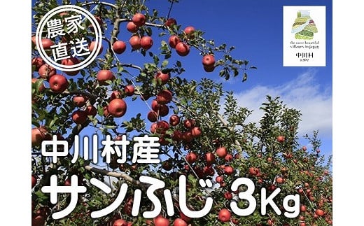 担当者おすすめ「味覚の里なかがわ」の旬のくだもの(サンふじ3Kg箱)12月1日から順次発送予定