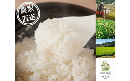 信州産コシヒカリ「桃つや米」10㎏