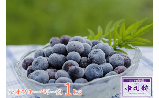 【農園直送】富永農園の冷凍ブルーベリー　約１Ｋｇ　※７月中旬より順次発送