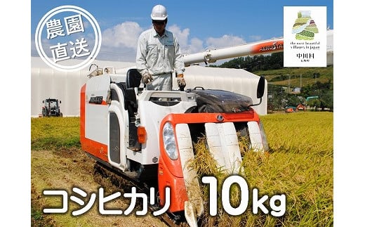 信州産コシヒカリ「富永農園の米」10㎏