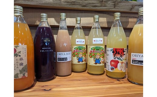 担当者おすすめ　中川村の味覚セット