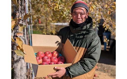農家直送】富永農園の秋のりんご【サンふじ】３㎏箱（１段詰め）
