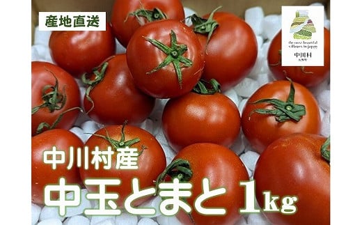 GOKO樹なり甘熟とまと(中玉ABランク品) 約1Kg【金曜日発送】