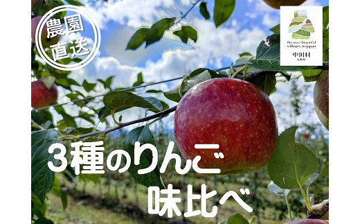 担当者おすすめ「味覚の里なかがわ」の旬のくだもの～フルーツガーデン松村のりんご　味比べ３種セット　約３㎏