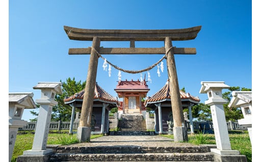 人材育成・文化振興・平和行政に関すること。