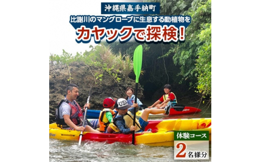 <2名様体験コース>比謝川のマングローブに生息する動植物をカヤックで探検!【1399161】