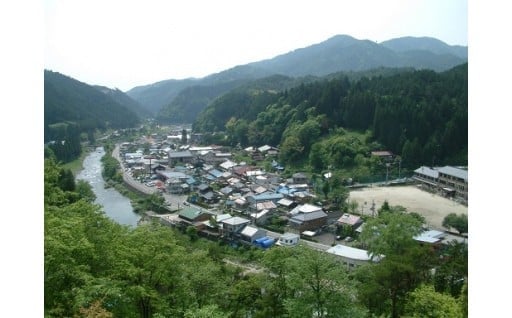 （２）産業活力