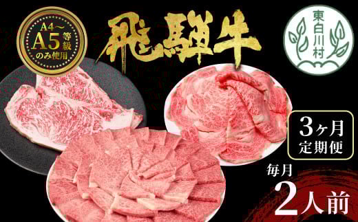 【翌月から発送開始】飛騨牛 定期便 全3回 計1.1kg 2人前 すき焼き しゃぶしゃぶ ステーキ 焼肉 BBQ ロース カタロース ロースステーキ モモ カタ 贅沢 贈り物 3ヶ月 定期 おすすめ 選べる 人気 飛騨 ブランド牛 肉のひぐち