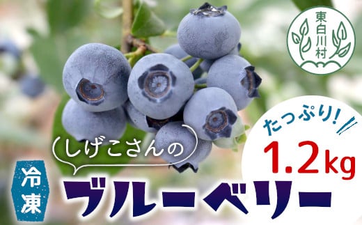 冷凍 ブルーベリー 約1.2kg 300g×4パック 小分け 便利 しげこさんのブルーベリー 甘い 大粒 ジャム お菓子 スイーツ デザート アイス 果物 フルーツ ブルーベリージャム 無農薬 化学肥料不使用 岐阜県 東白川村産 産地直送 大容量