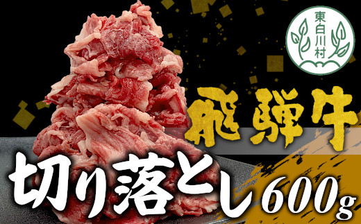 【2月発送】飛騨牛 切り落とし 600g 牛肉 和牛 肉 切落し ブランド牛 国産 牛 10000円