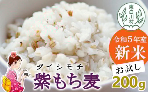 東白川村産 紫もち麦 ダイシモチ お試し 150g お米 こめ もち麦 精米 ご飯 おためし 1000円