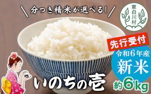 【先行受付】令和6年産 いのちの壱 玄米 約6kg 新米 東白川村産 お米 米 【ご希望により無洗米、白米、8分つき、5分つき、精米いたします!】10000円 一万円