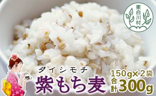 【令和7年度産】 東白川村産 紫もち麦 ダイシモチ 150g×2袋 計300g もち麦 麦 大麦 雑穀 お米 こめ 精米 ご飯 食物繊維 お取り寄せ 2000円