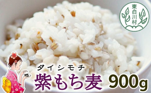 【令和7年度産】 東白川村産 紫もち麦 ダイシモチ 900g もち麦 麦 大麦 雑穀 お米 こめ 精米 ご飯 食物繊維 お取り寄せ 5000円