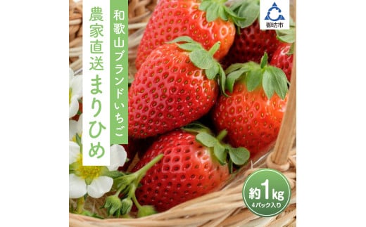 まりひめ4パック入り1kg「和歌山ブランドいちご」農家直送《先行予約》【配送不可地域:北海道・青森・秋田・岩手・沖縄】