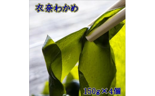衣奈わかめ【0623-3】