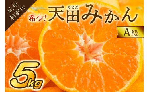 希少!天田みかん(紀州和歌山)A級5kg《先行予約》