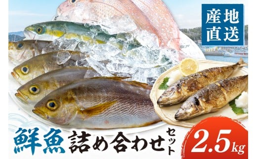 御坊産 鮮魚セット2.5kg 鮮魚 天然 詰め合わせ 朝どれ 冷蔵 新鮮 アジ サバ タチウオ 太刀魚 タイ 漁港 和歌山県産 御坊産 【配送不可地域】沖縄・北海道・東北・九州