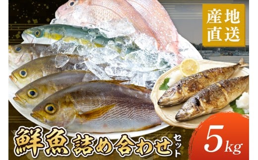 御坊産 鮮魚セット5kg 鮮魚 天然 詰め合わせ 朝どれ 冷蔵 新鮮 アジ サバ タチウオ 太刀魚 タイ 漁港 和歌山県産 御坊産 送料無料【配送不可地域】沖縄・北海道・東北・九州