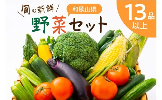 旬の新鮮 野菜セット たっぷり13種以上 季節の野菜 やさい ミネラル 新鮮 詰め合わせ きゅうり 小松菜 キャベツ 大根 なすび ミニトマト トマト とまと 新玉ねぎ しいたけ ごぼう しめじ 胡瓜 茄子 贈答 ご家庭 贈り物 プレゼント