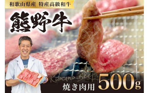 和歌山県産特産高級和牛「熊野牛」焼き肉用セット500g